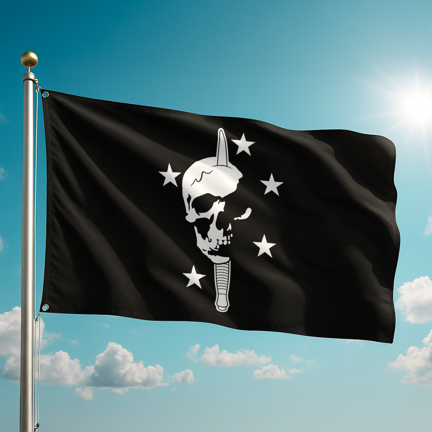 MARSOC 8130 Raider Crest | 3x5 ft Flag