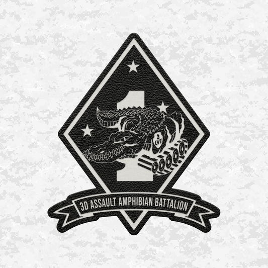 3rd Assault Amphibian Battalion "3rd Tracks" | Leather Patch | Velcro Backed