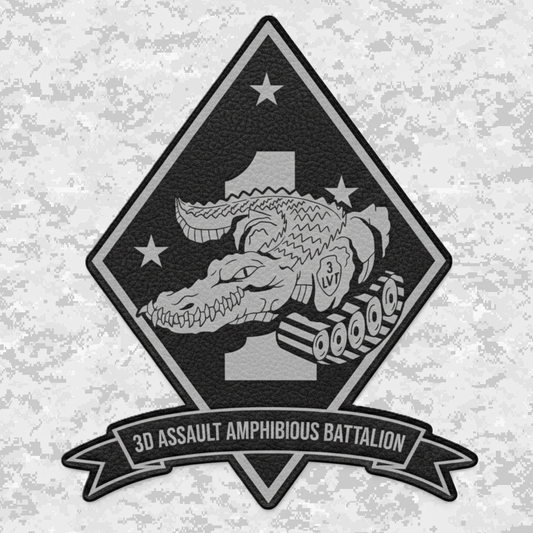 3rd Assault Amphibian Battalion "3rd Tracks" | Leather Patch | Velcro Backed