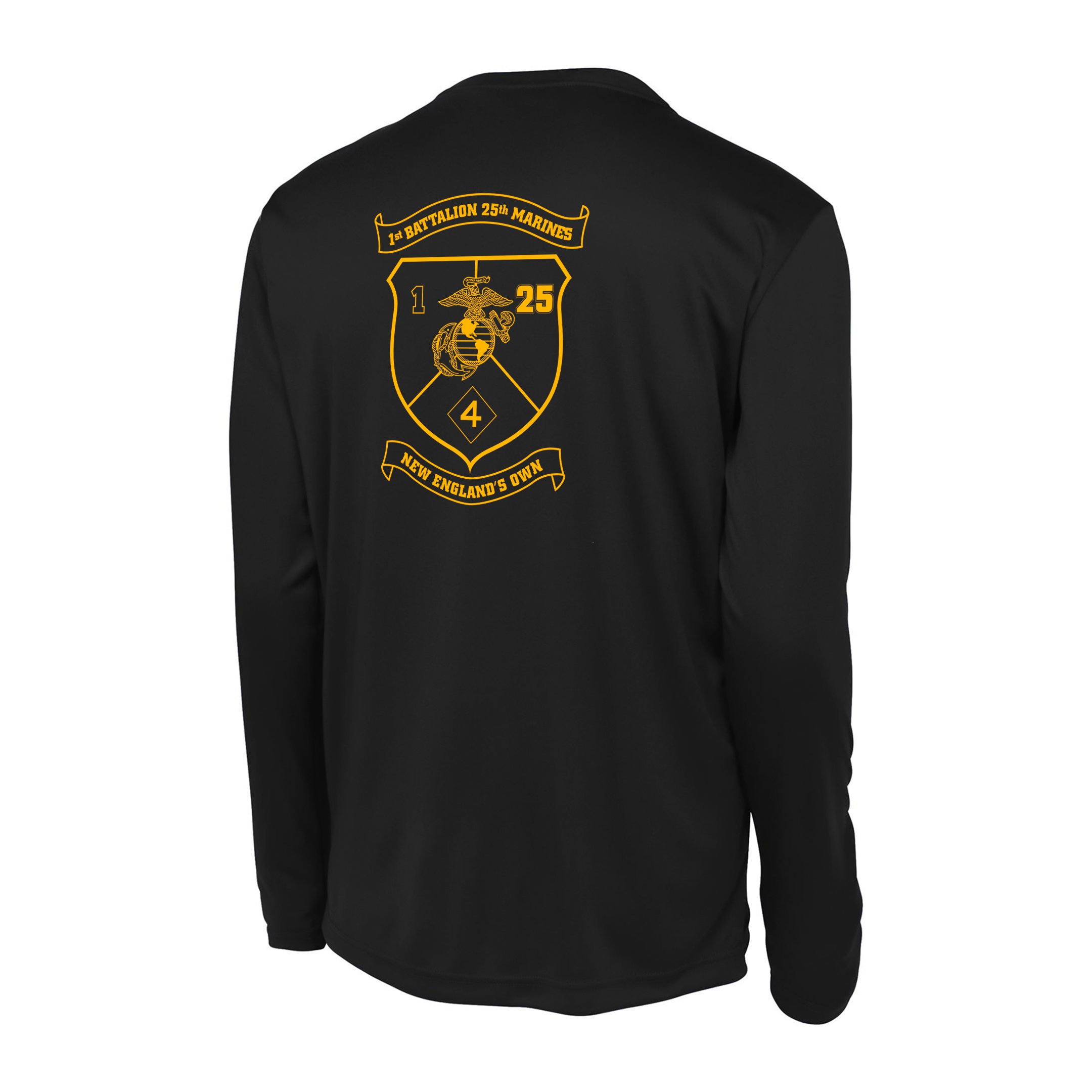 1st Battalion 25th Marines Unit 