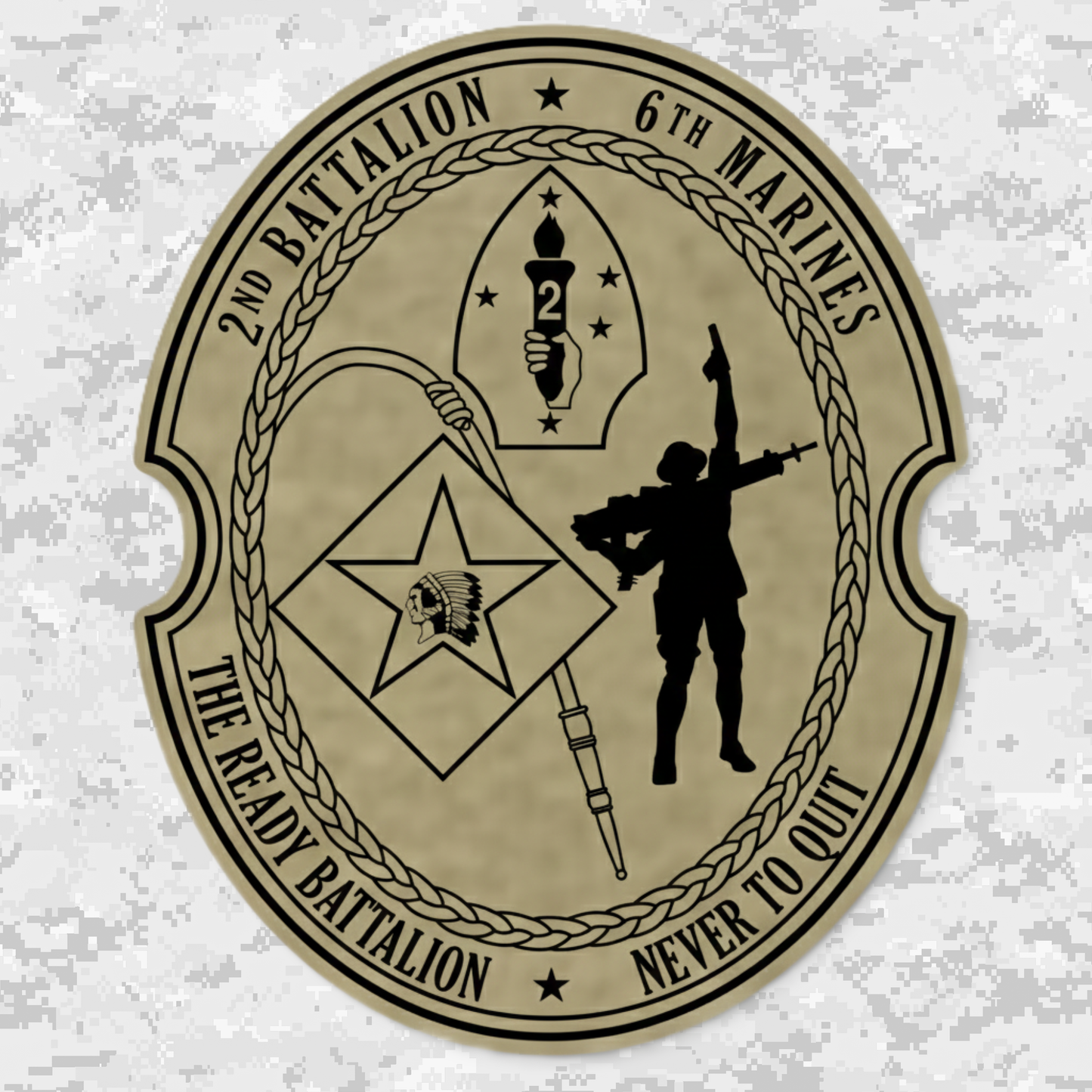 Leather Patch | 2nd Battalion 6th Marines Unit "The Ready Battalion" | Velcro Backed | Brown / Black