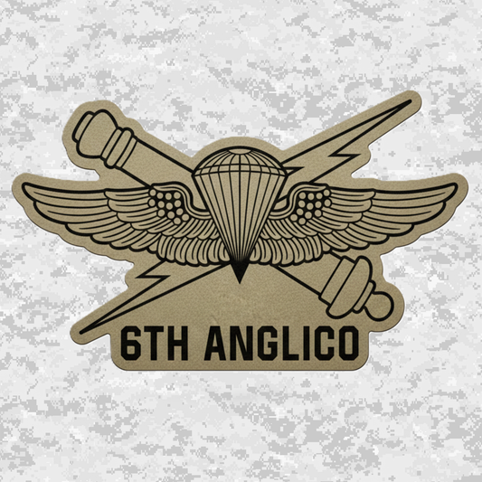 6th ANGLICO | Air Naval Fire | Leather Patch | Velcro Backed