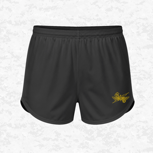 3rd ANGLICO | Sky Lightning & Sea Thunder | Shorts